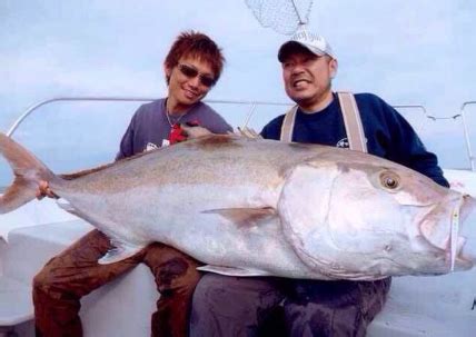 夢到釣到大魚|夢見自己釣到大魚是什麼意思